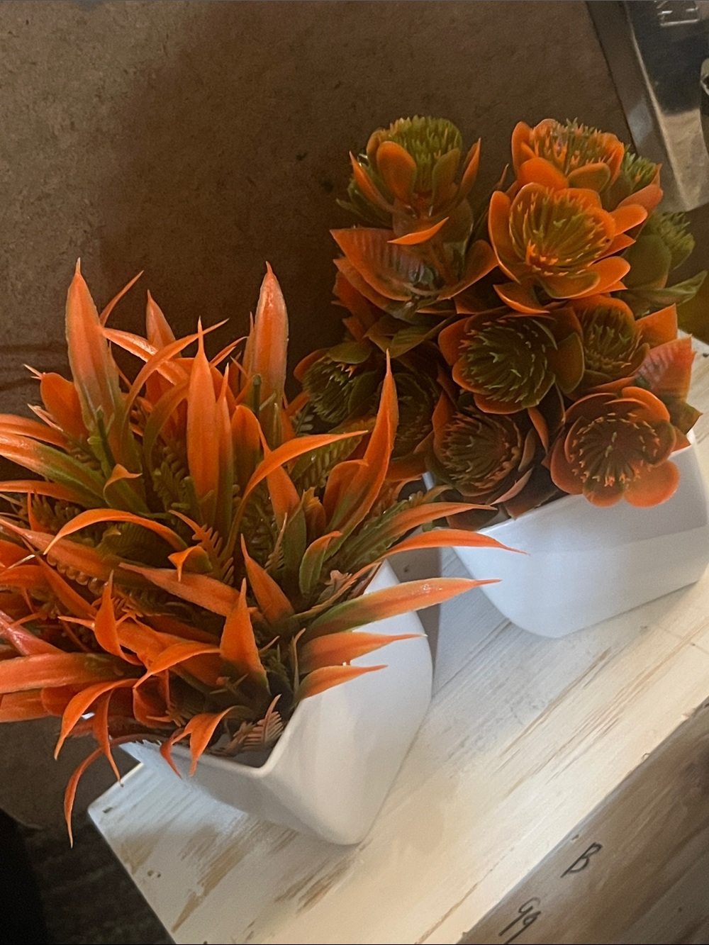 Bright Orange Faux Succulent Duo in White plastic Planters Autumn colors 465